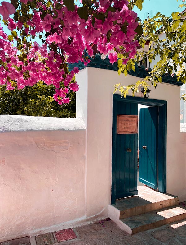 Pink flowers at entrance to building